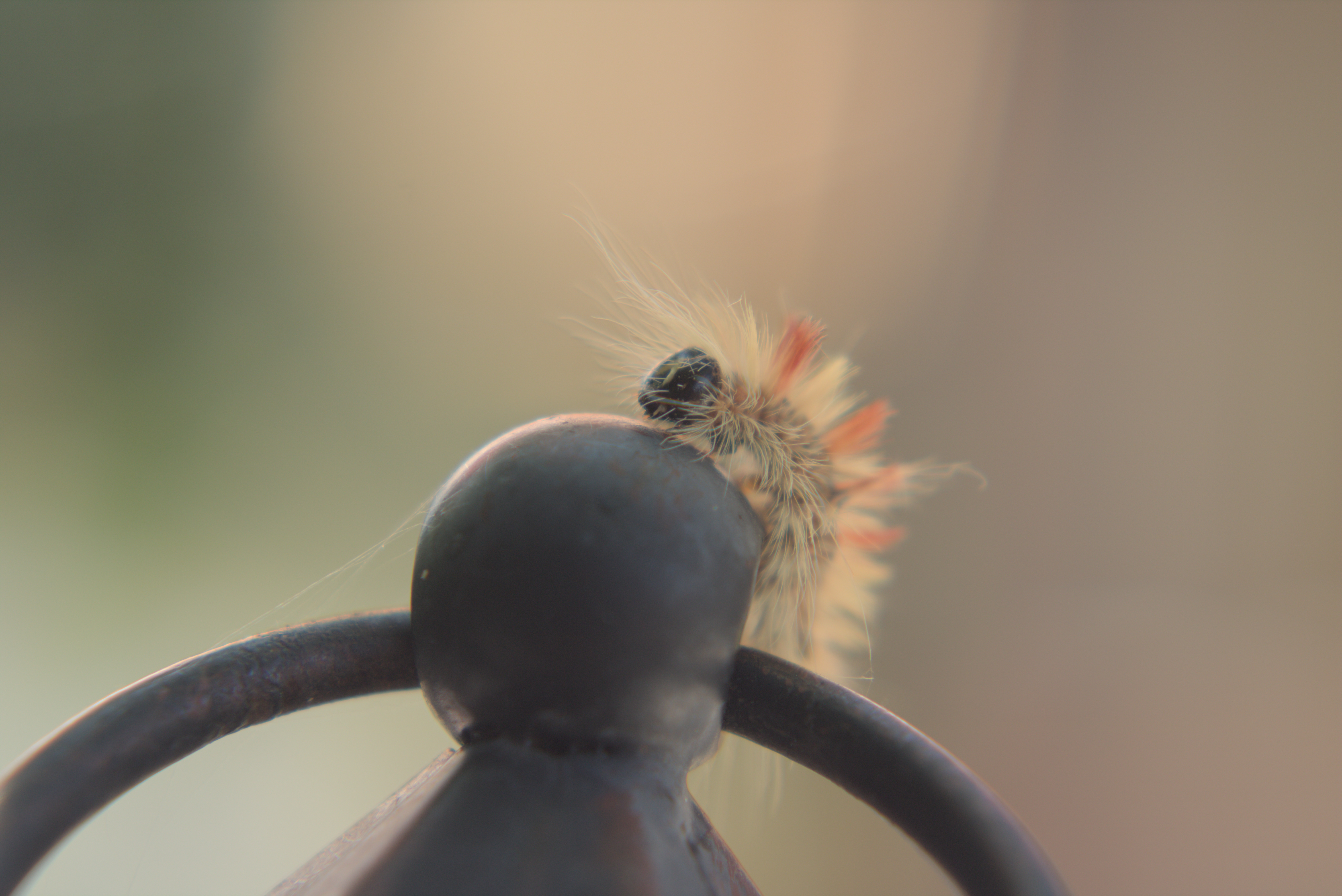 Da stehen einem die Haare zu Berg.